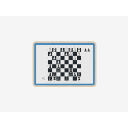 Настенные демонстрационные шахматы с комплектом фигур